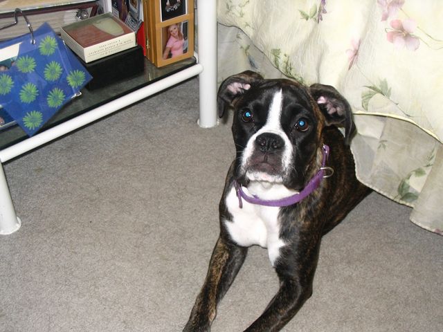 Bailey