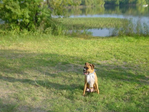 Bailey!