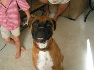 Bailey