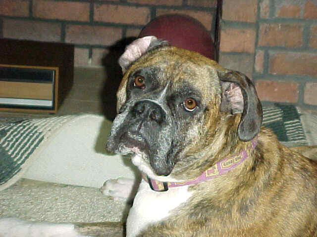 Bailey