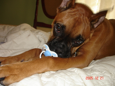 bailey