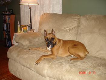 Bailey