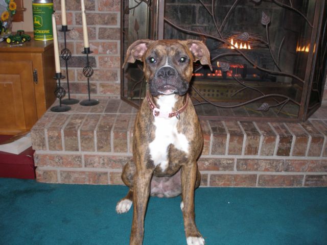 Bailey