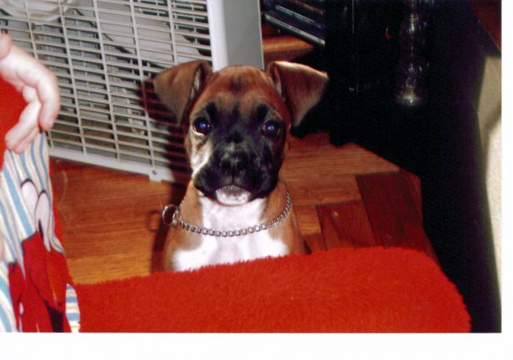bailey2