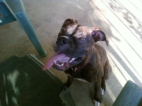 bailey31