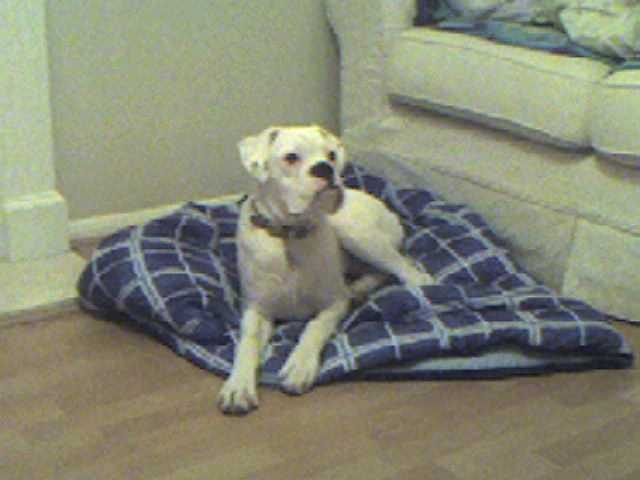 bailey56_1_
