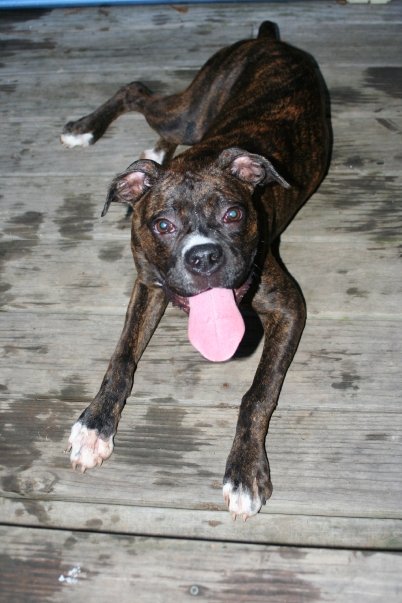 bailey6