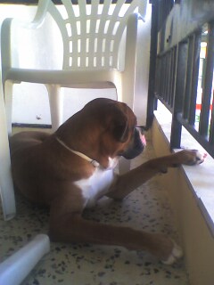 balcony
