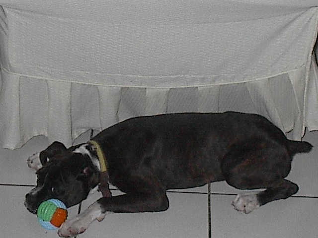 ball playing