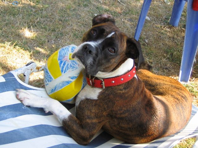 ball
