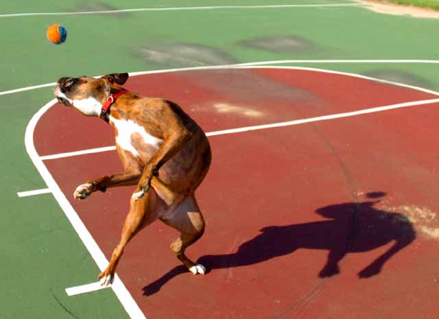 Ball2