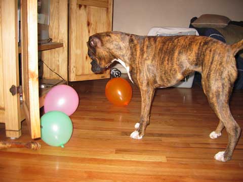 Balloons!