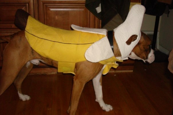 Banana
