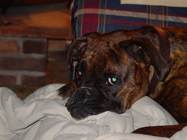 Banshee Chillin'
