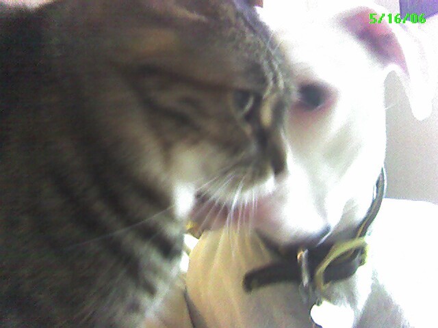 Bardi & Sissta Sabes