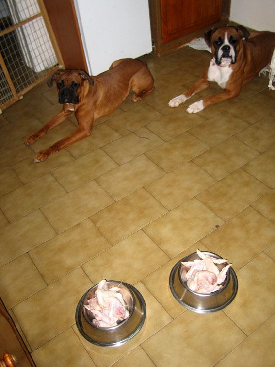 barfers!