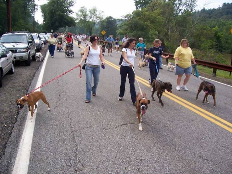 Bark n The Park Aug 29th