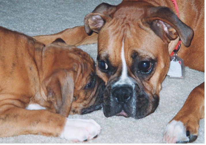Barkley getting used to baby Jordan