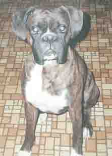 Barry