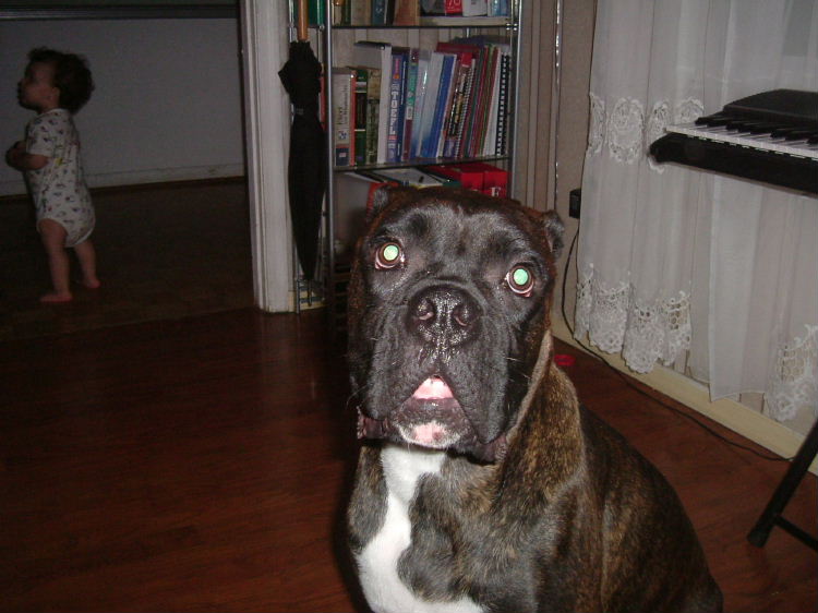 Bart is 11 months old.