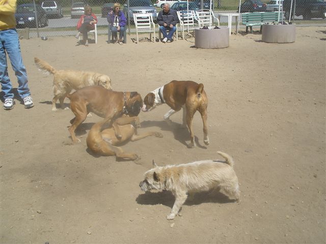 Bash0507061