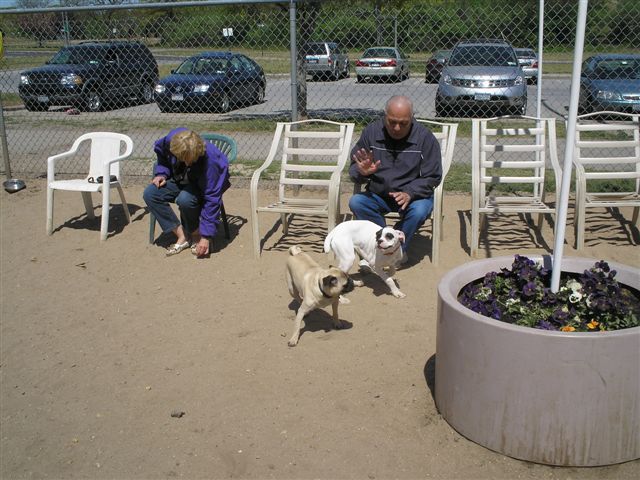Bash0507062
