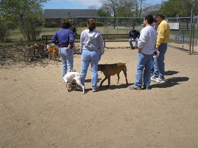 Bash0507068