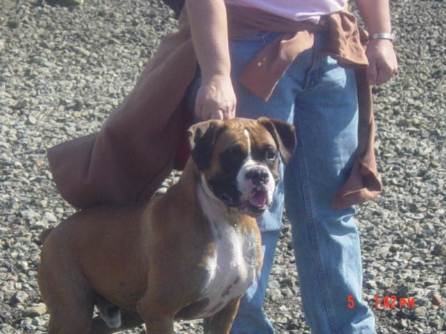 bash3