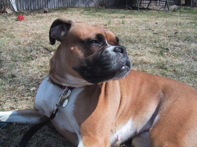 Basking in the sun