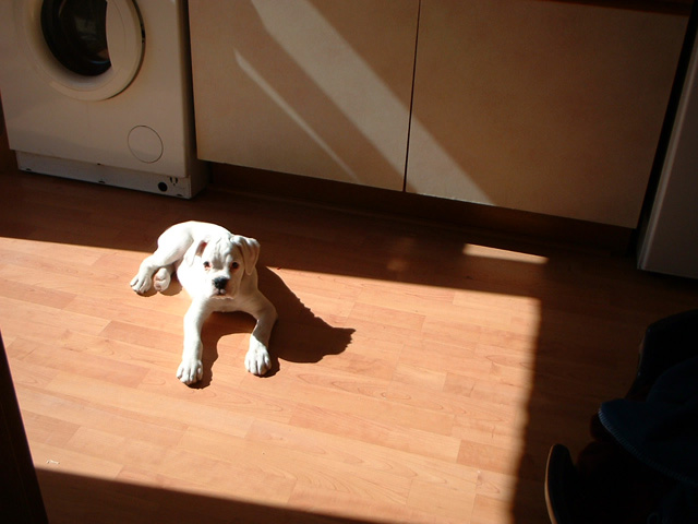 basking_in_the_sun