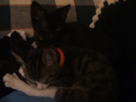 Bast and Belise