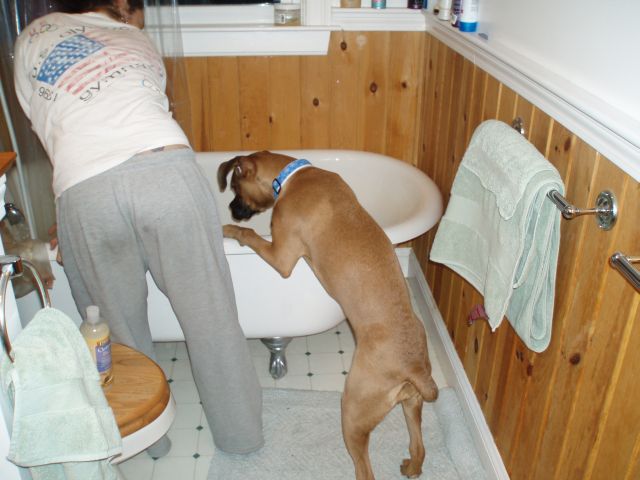 bath time fun