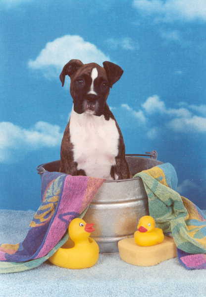 Bath Time