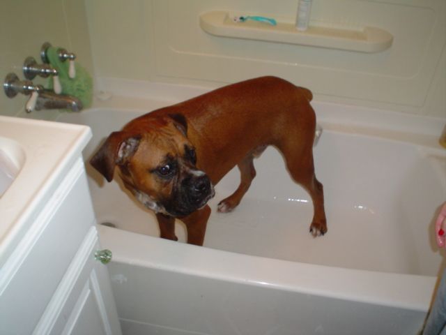 Bath Time!