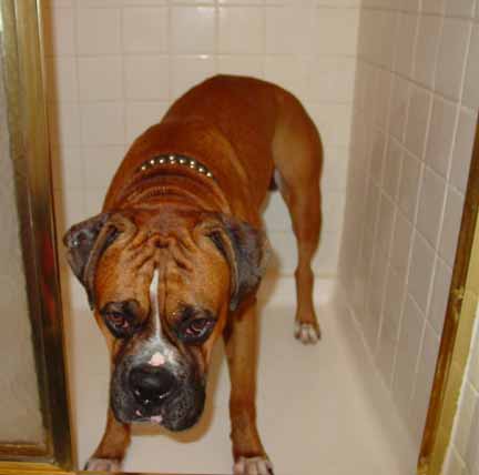 bath time