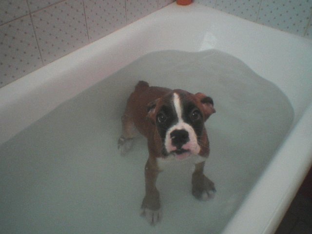 bath time