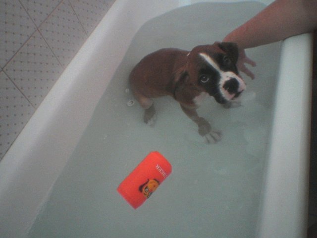 bath time