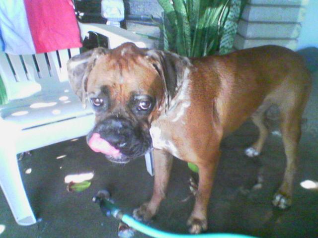 Bath Time