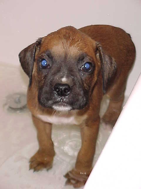 Bath time