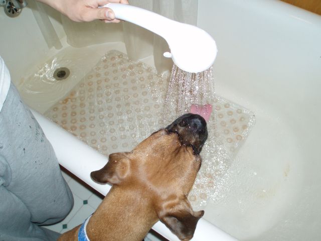 bath time