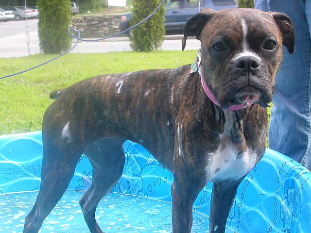 bath time