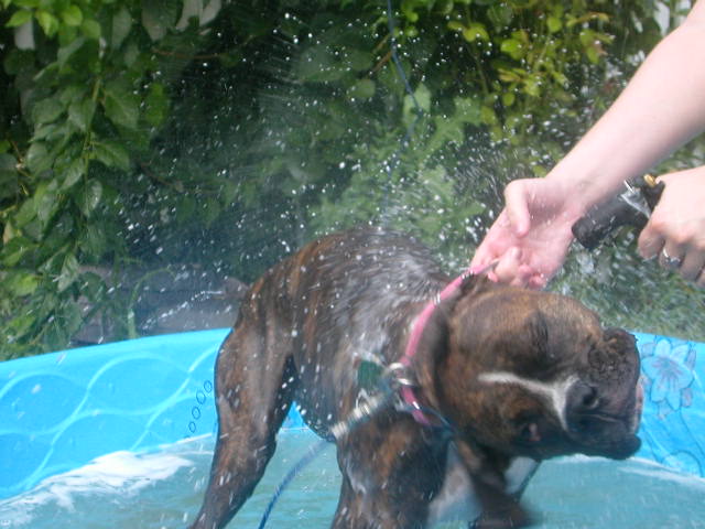 bath time!!!
