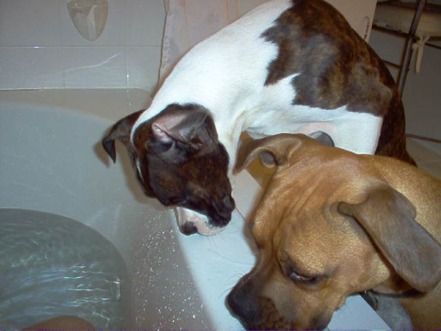 Bath Time