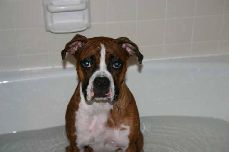 Bath time!