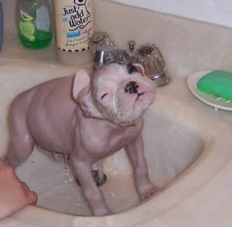 Bath Time