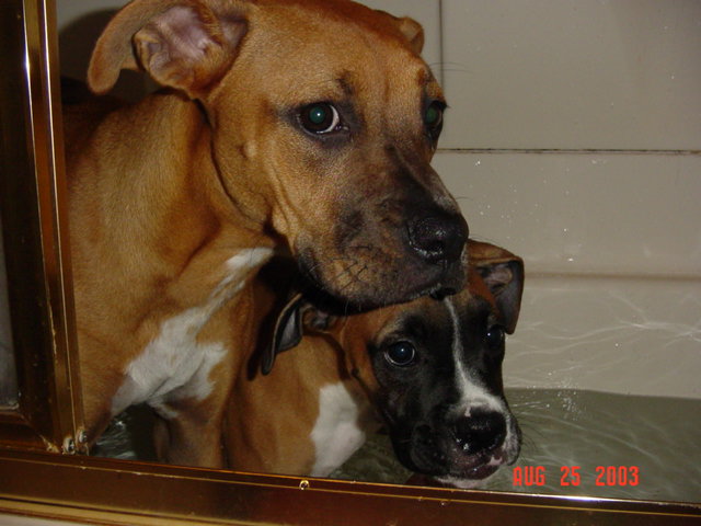 Bathtime!