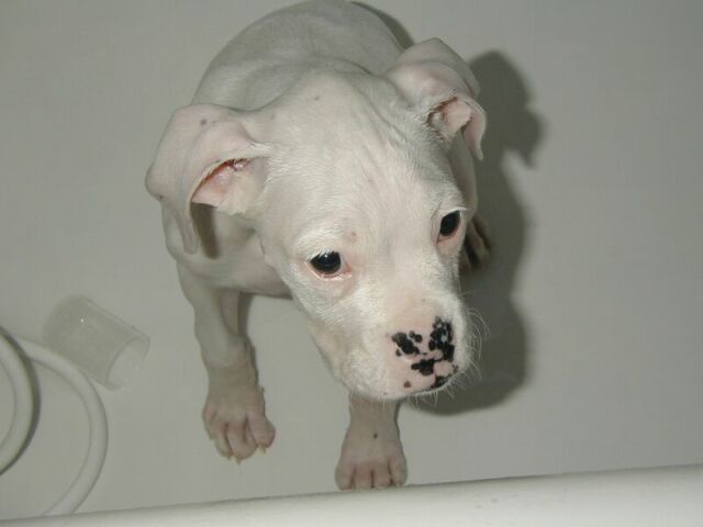 Bathtime