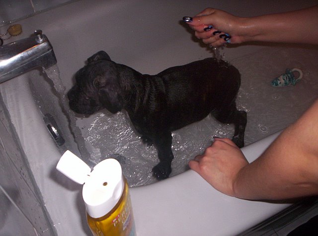 Bathtime!