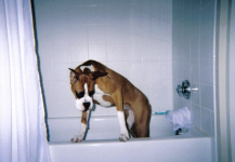 Bathtub