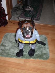 Batman